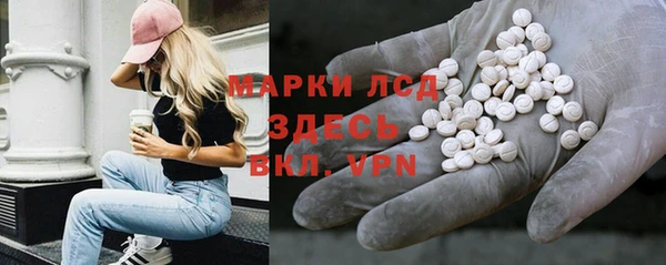 мяу мяу мука Бородино