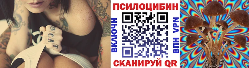 Псилоцибиновые грибы Psilocybe  даркнет сайт  Берёзовка 